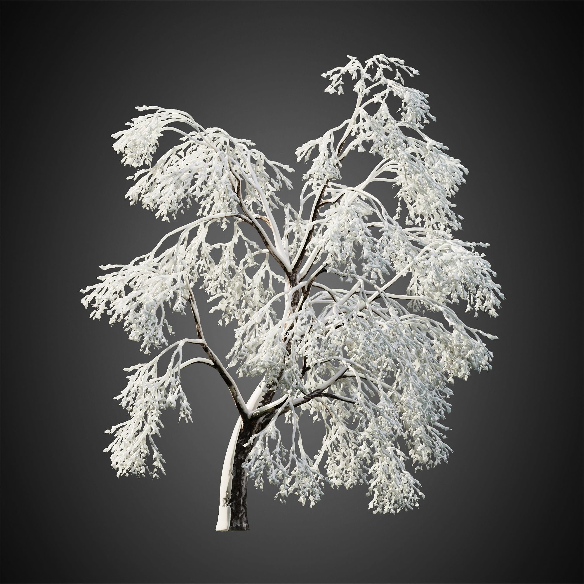 HeliosVegetation vol11 Winter trees  3D model_9