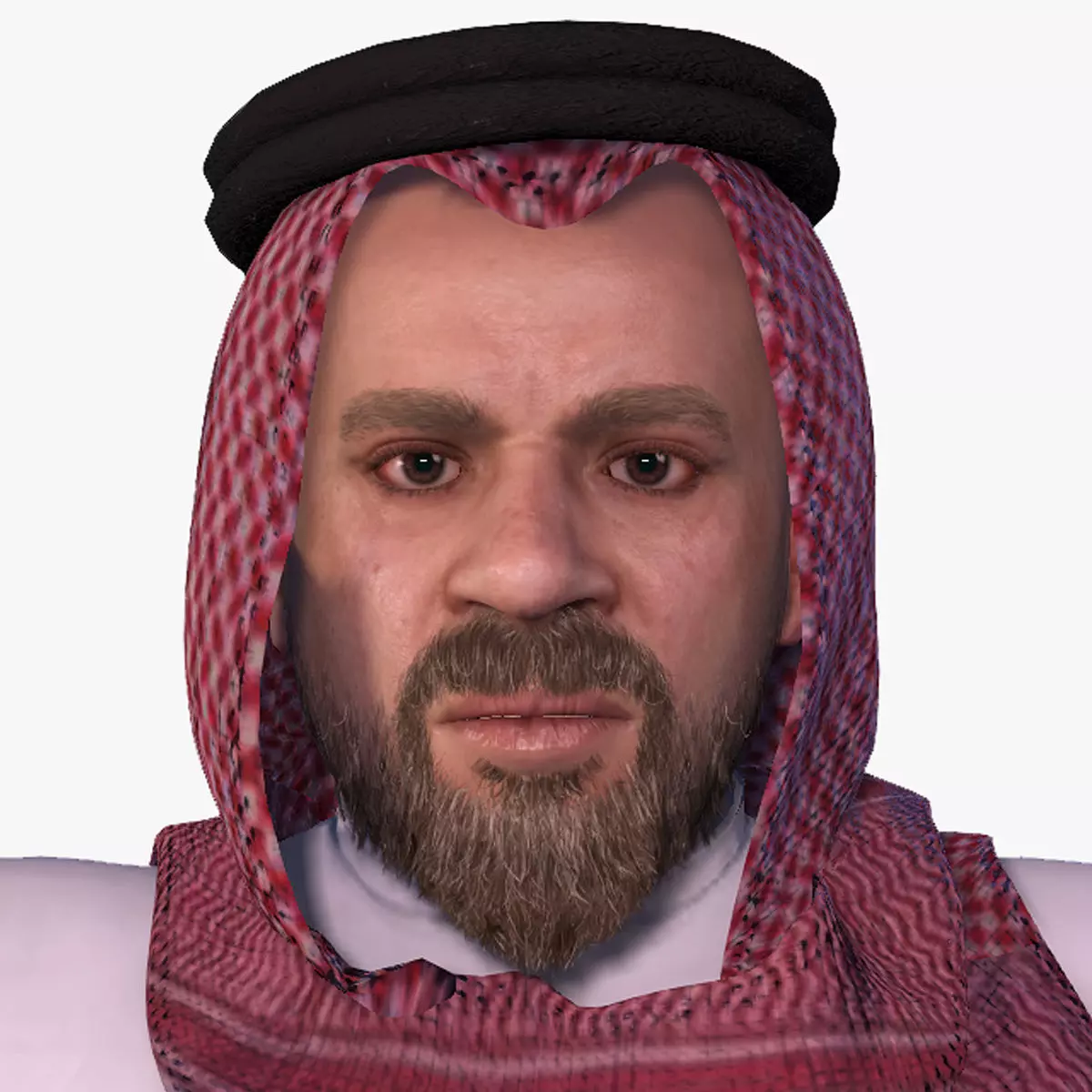 High quality character full Rigged and Animated  3D model_0