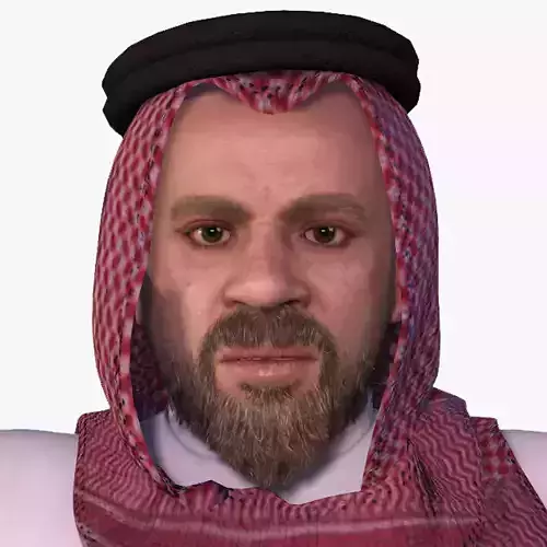 High quality character full Rigged and Animated  3D model