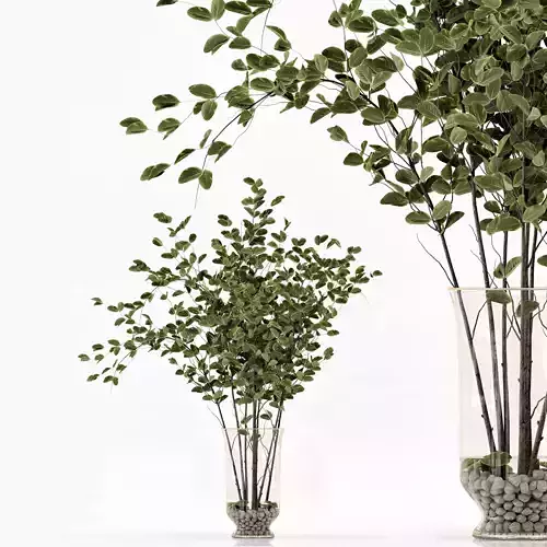 Green Branch in vase - Bouquet 004