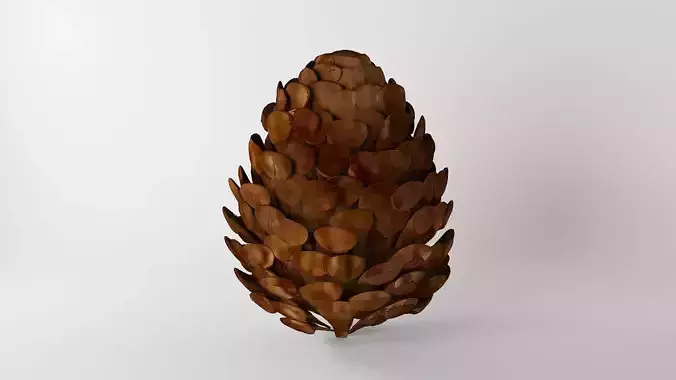 Pine cone