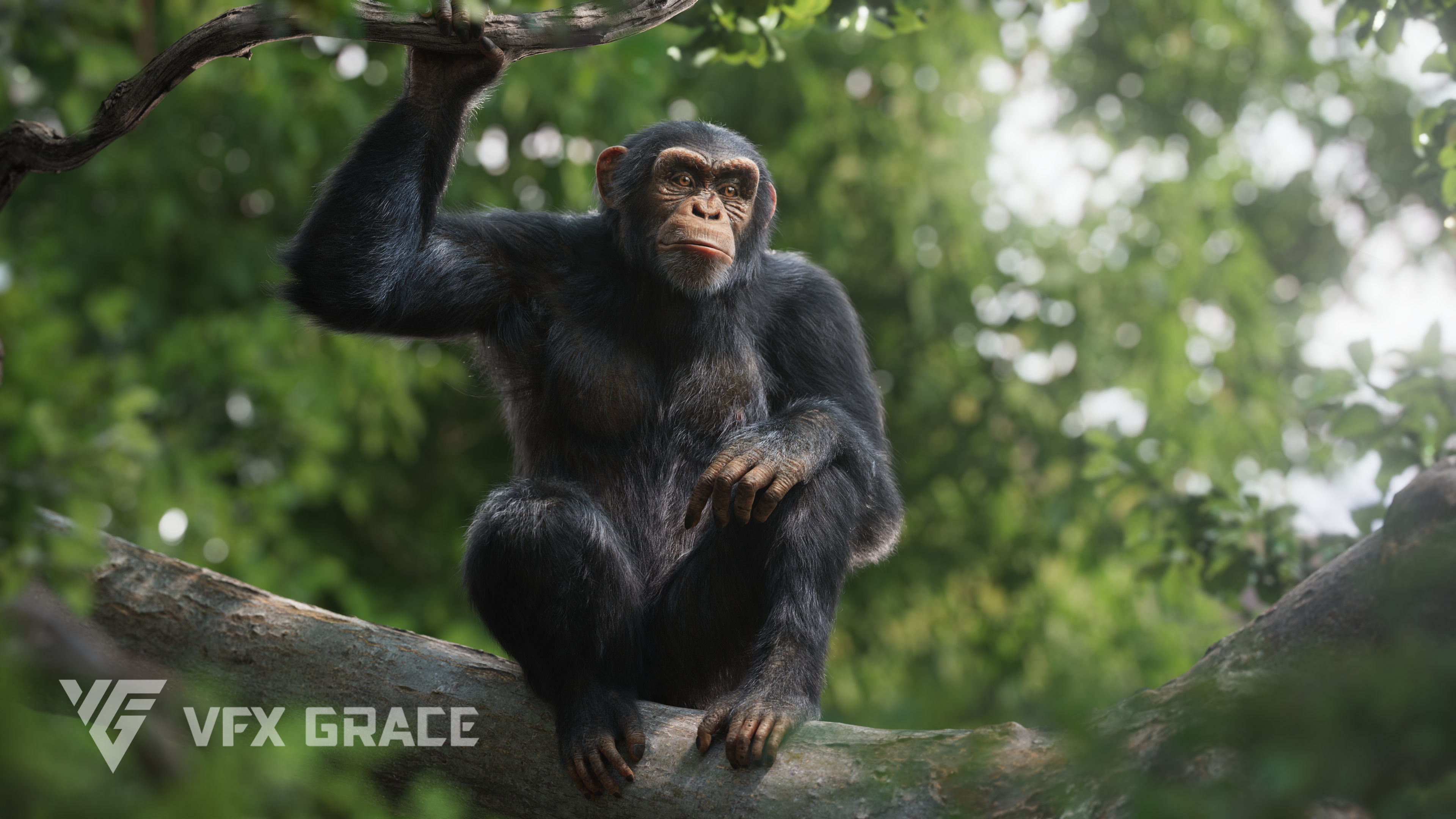 Chimpanzee Animated VFX Grace 3D model_5