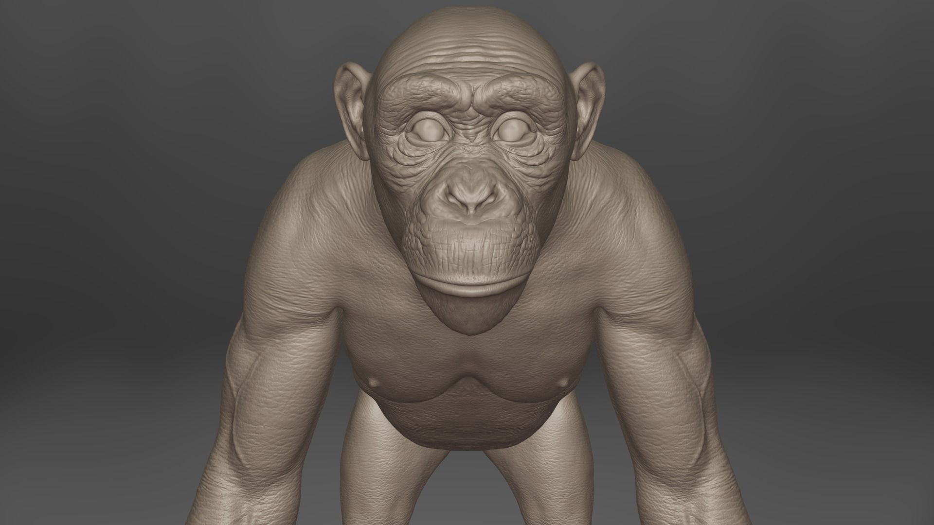 Chimpanzee Animated VFX Grace 3D model_15