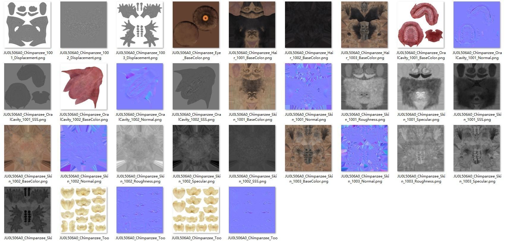 Chimpanzee Animated VFX Grace 3D model_21