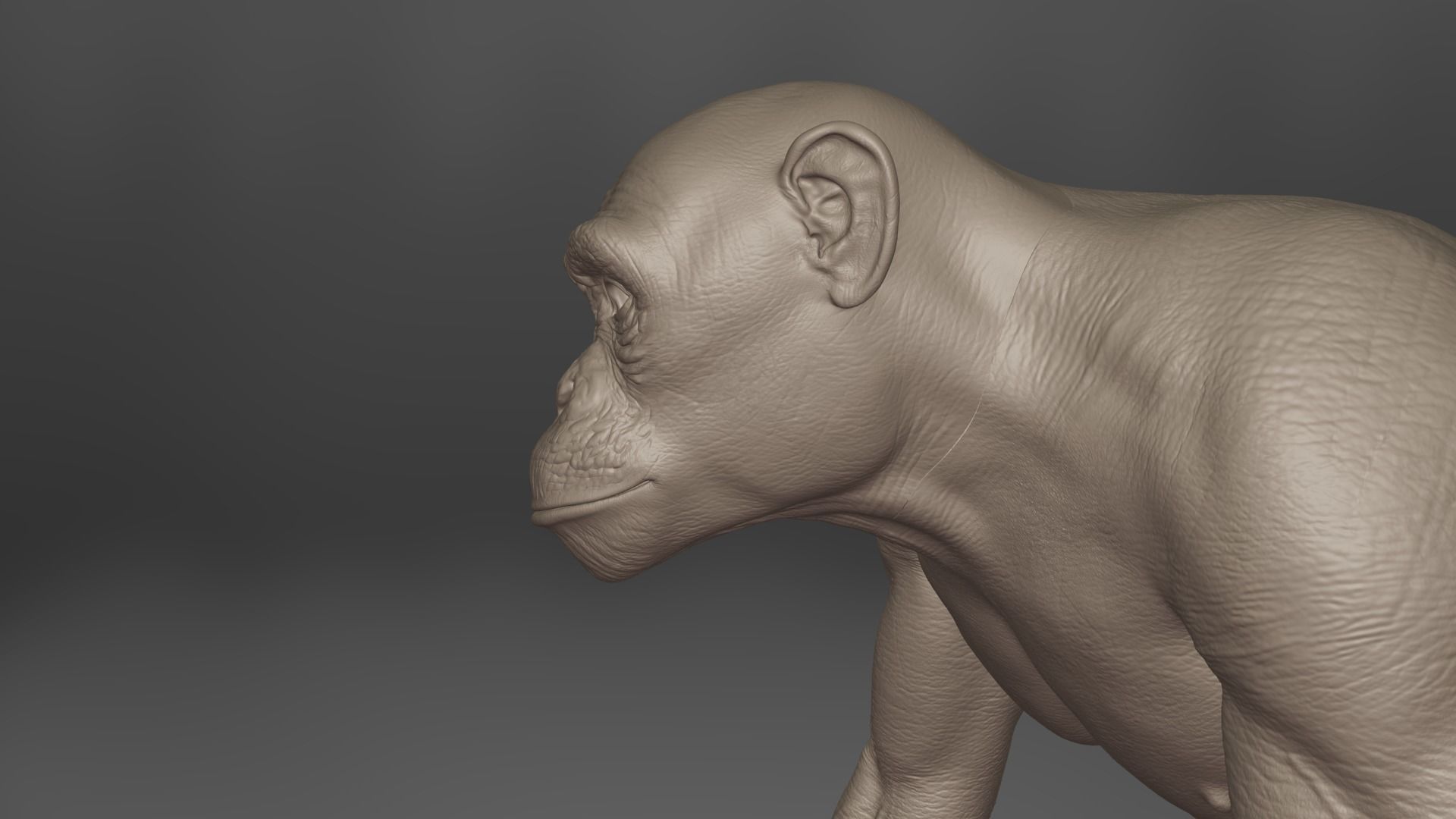 Chimpanzee Animated VFX Grace 3D model_14