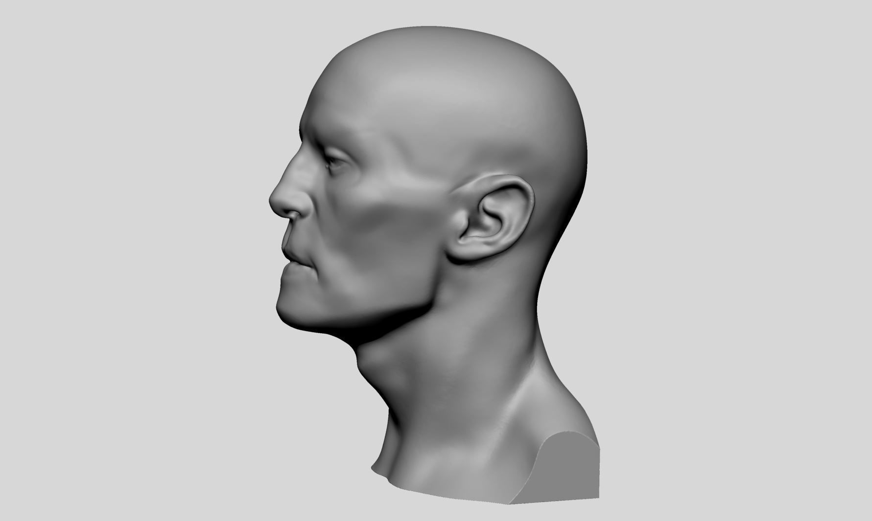 Base Male Head v5 3D model_6