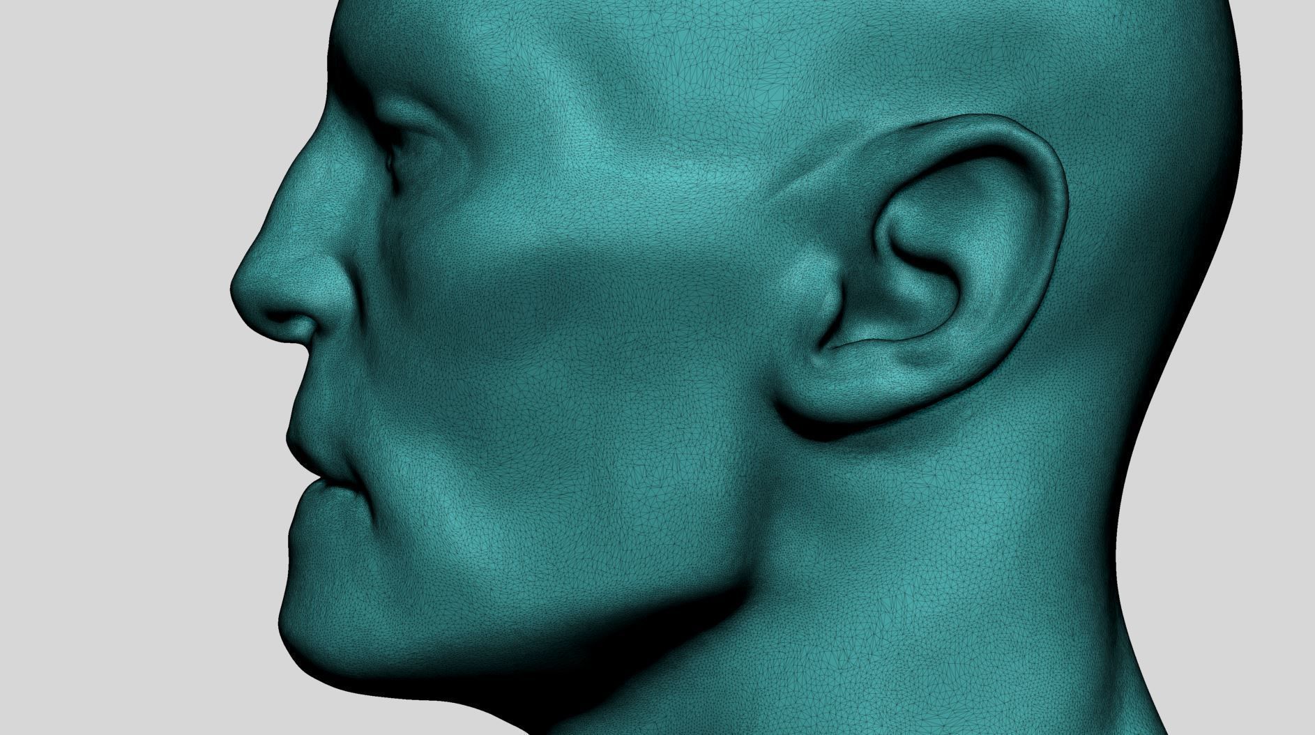 Base Male Head v5 3D model_13