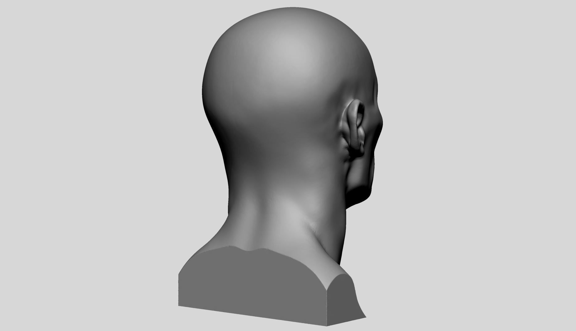 Base Male Head v5 3D model_3