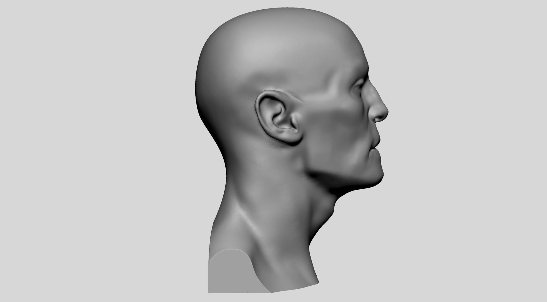 Base Male Head v5 3D model_2