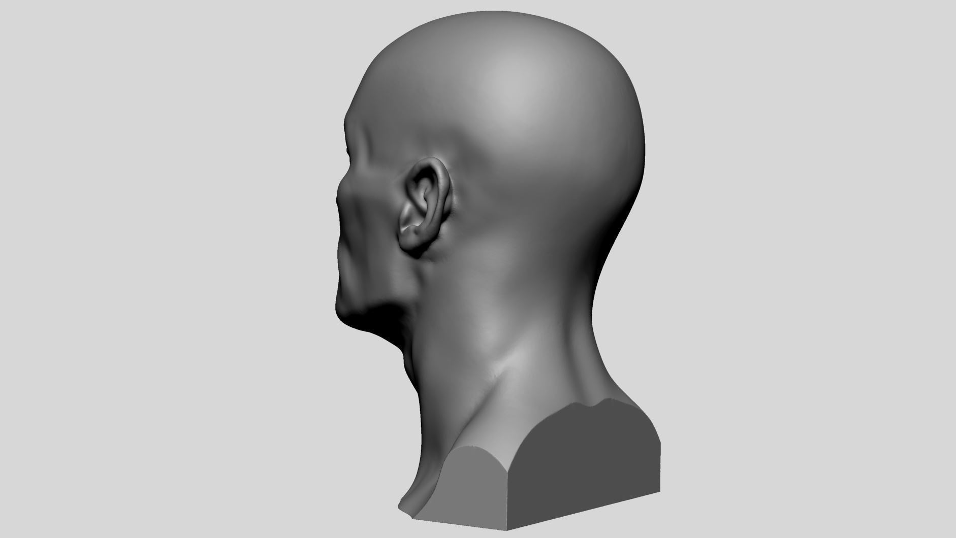 Base Male Head v5 3D model_5