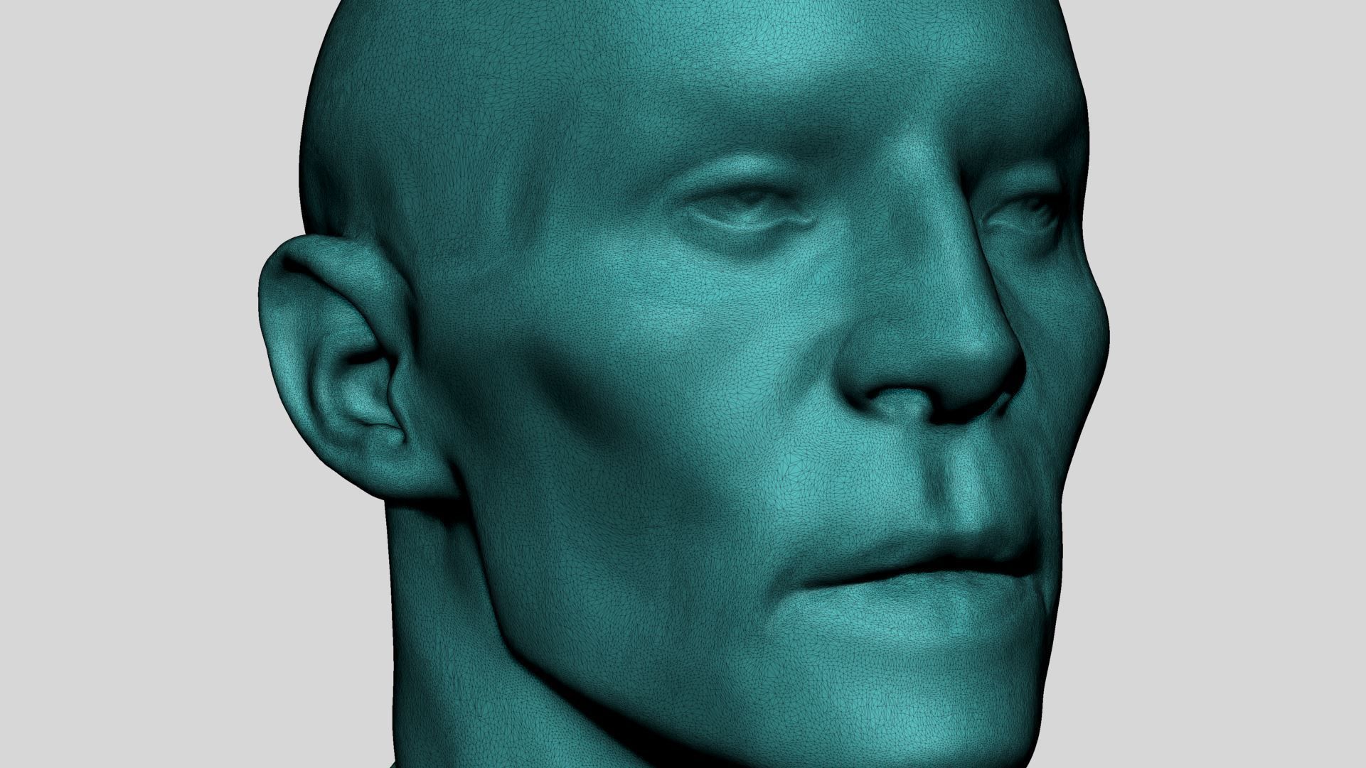 Base Male Head v5 3D model_12
