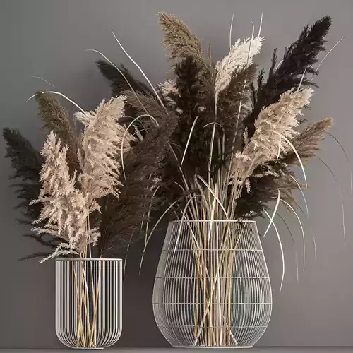 Decorative Bouquet of dried pampas grass 1071