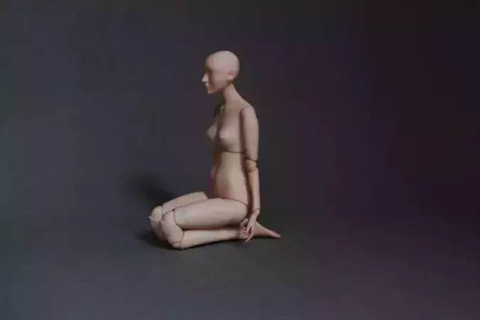 Ball Jointed Doll 3D print model