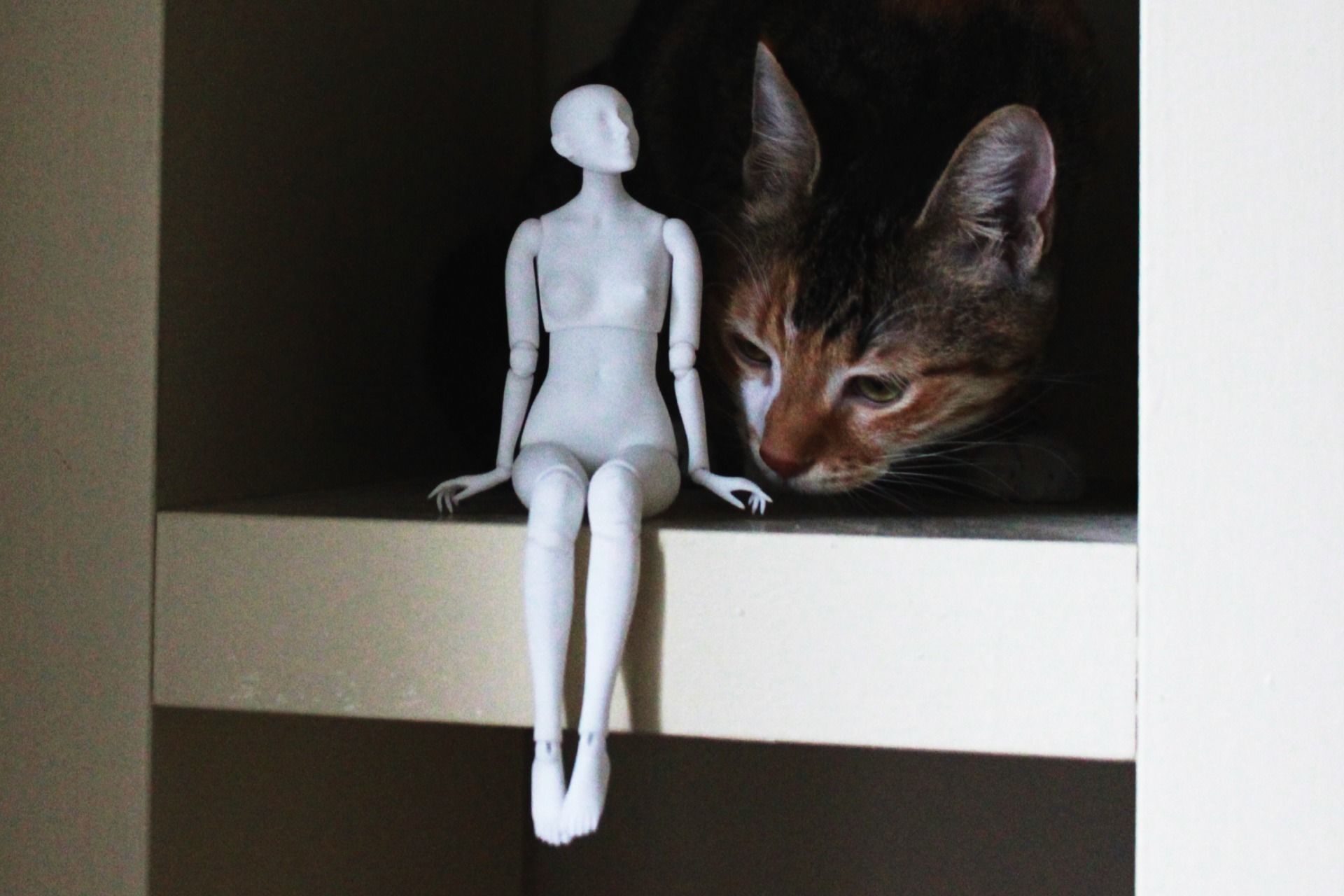 Ball Jointed Doll 3D print model_2