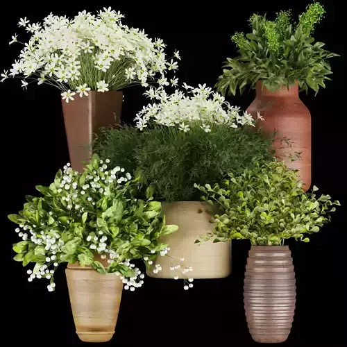 Collection plant vol 262  - Bouquet 3D model