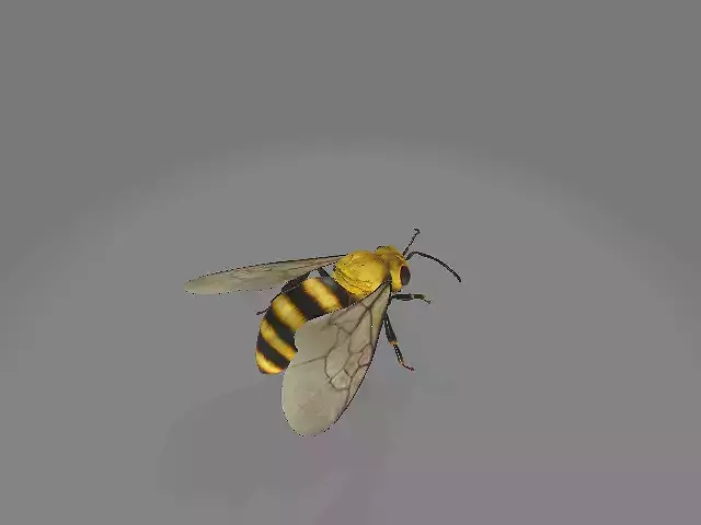 bee insete abelhanatureza Low-poly 3D model