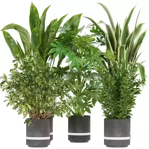 Collection plant vol 263 - indoor 3D model