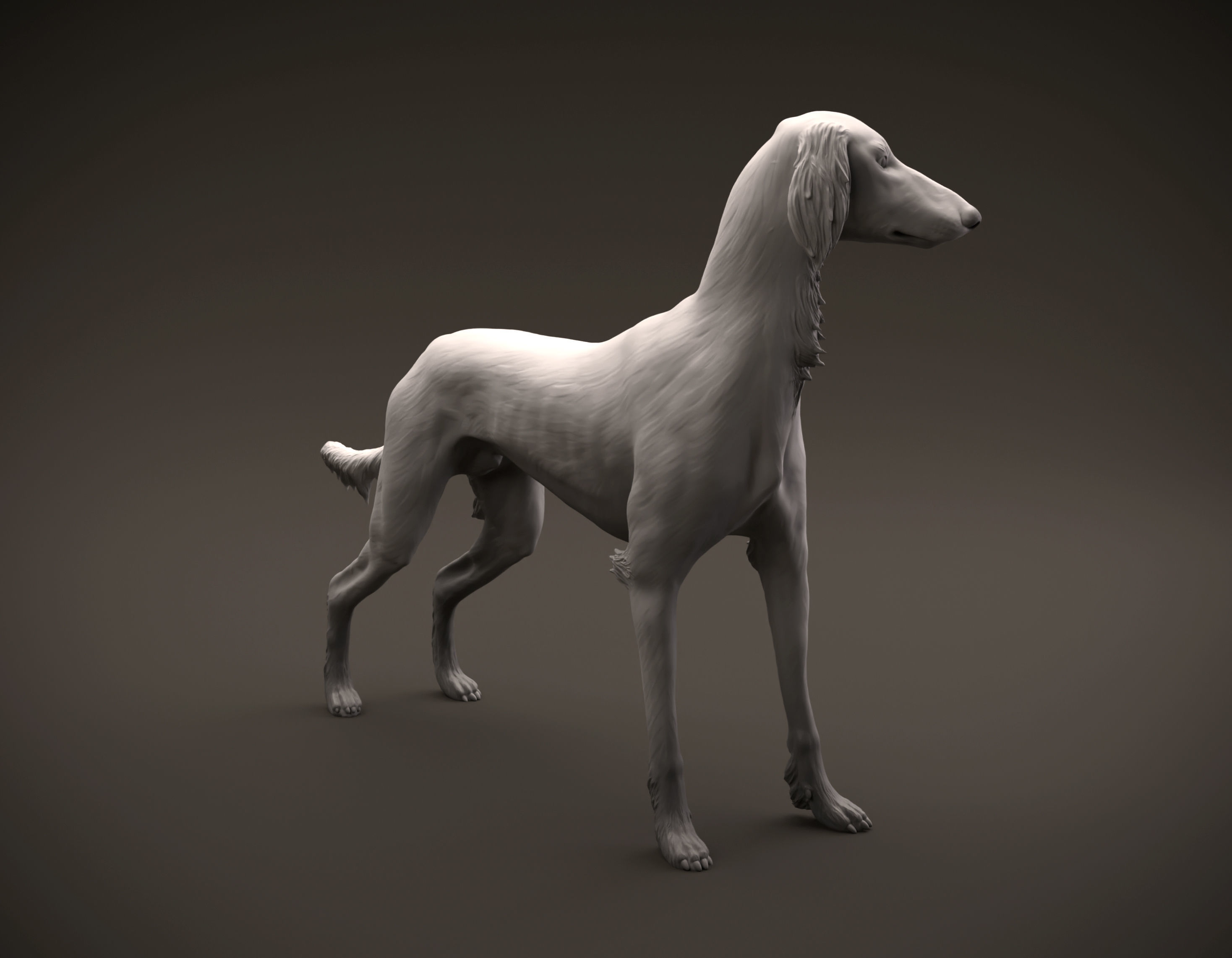 Saluki dog intended for 3D printing 3D print model_3