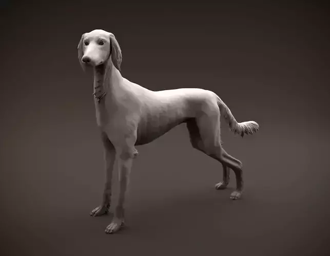 Saluki dog intended for 3D printing