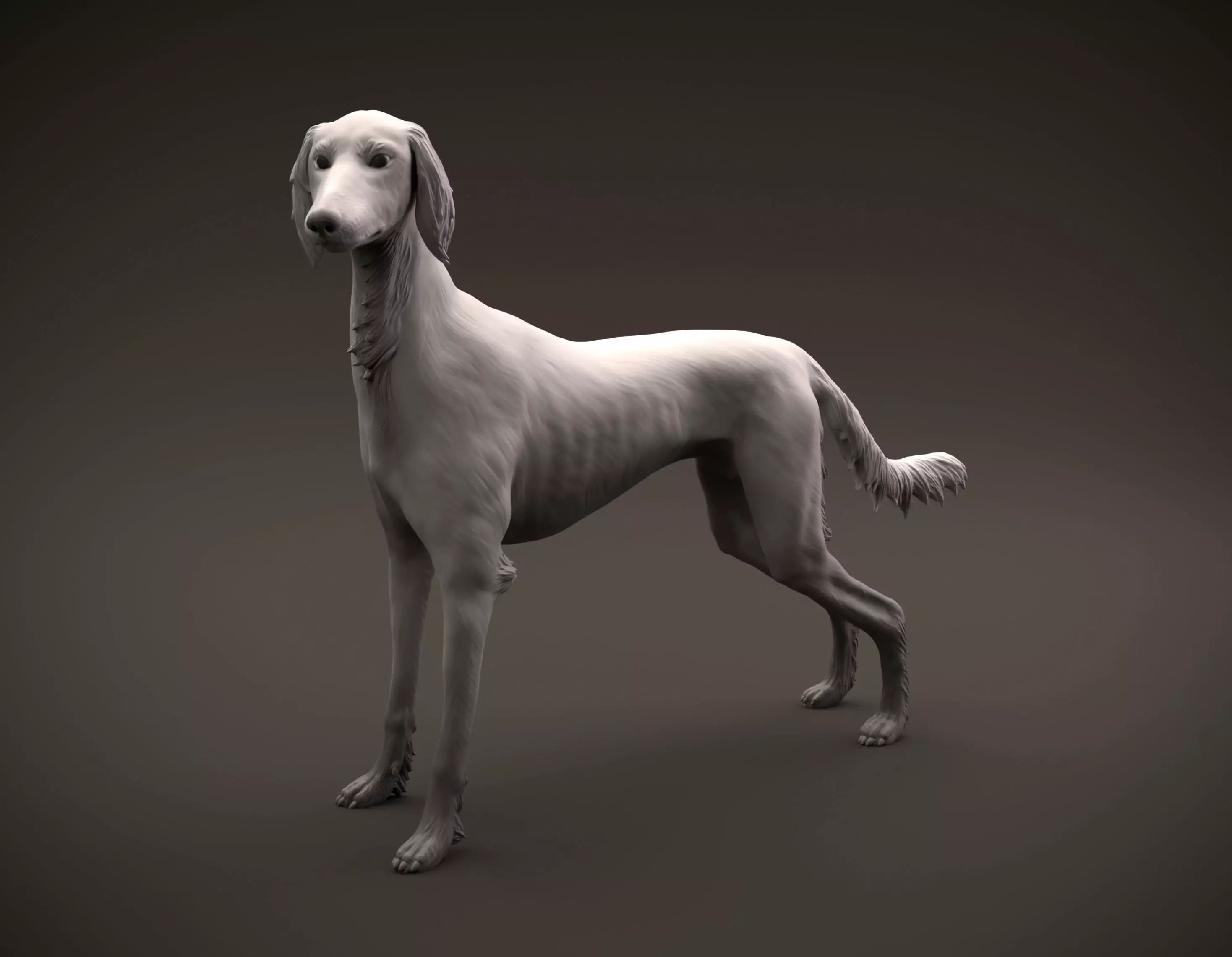 Saluki dog intended for 3D printing 3D print model_0