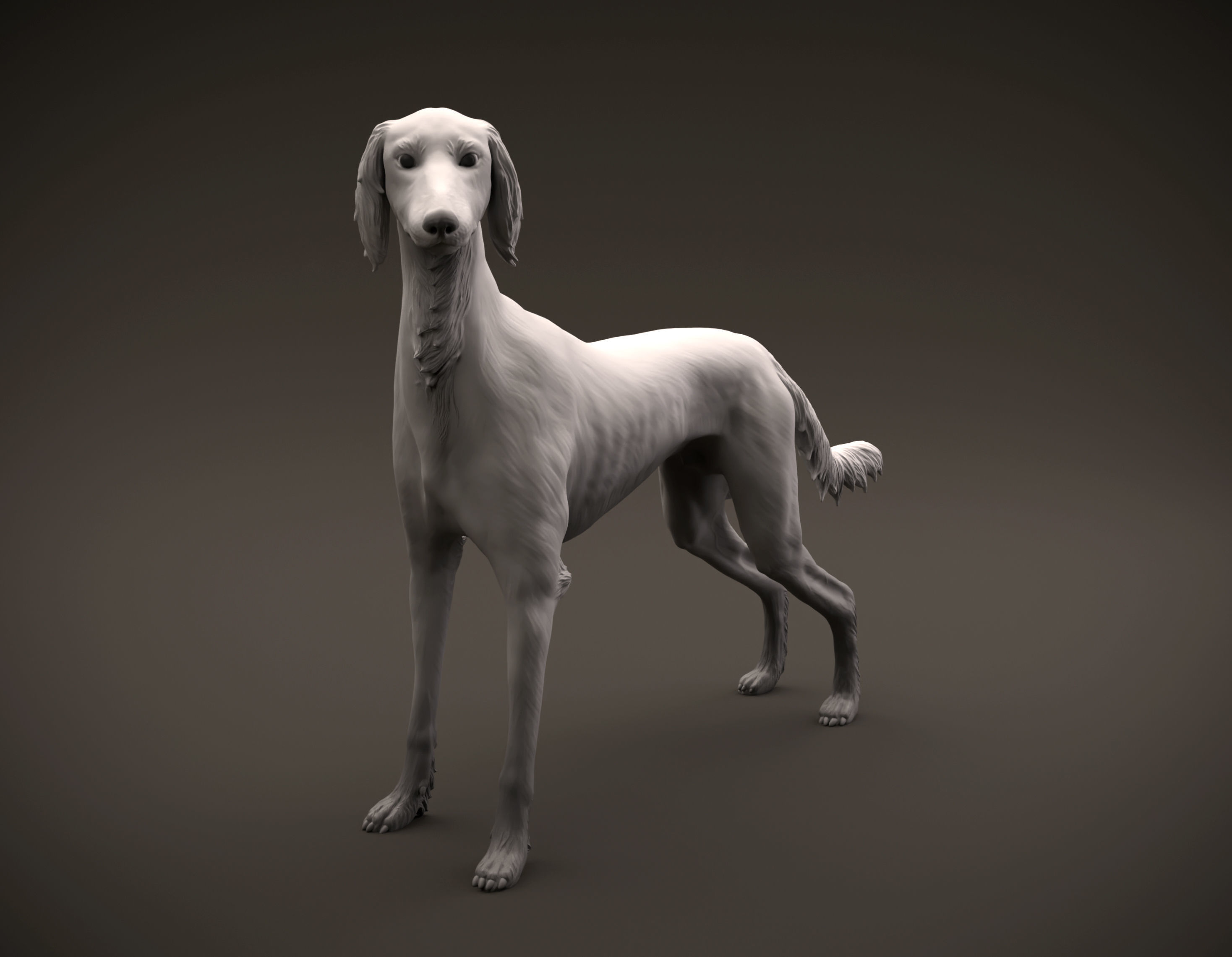 Saluki dog intended for 3D printing 3D print model_1