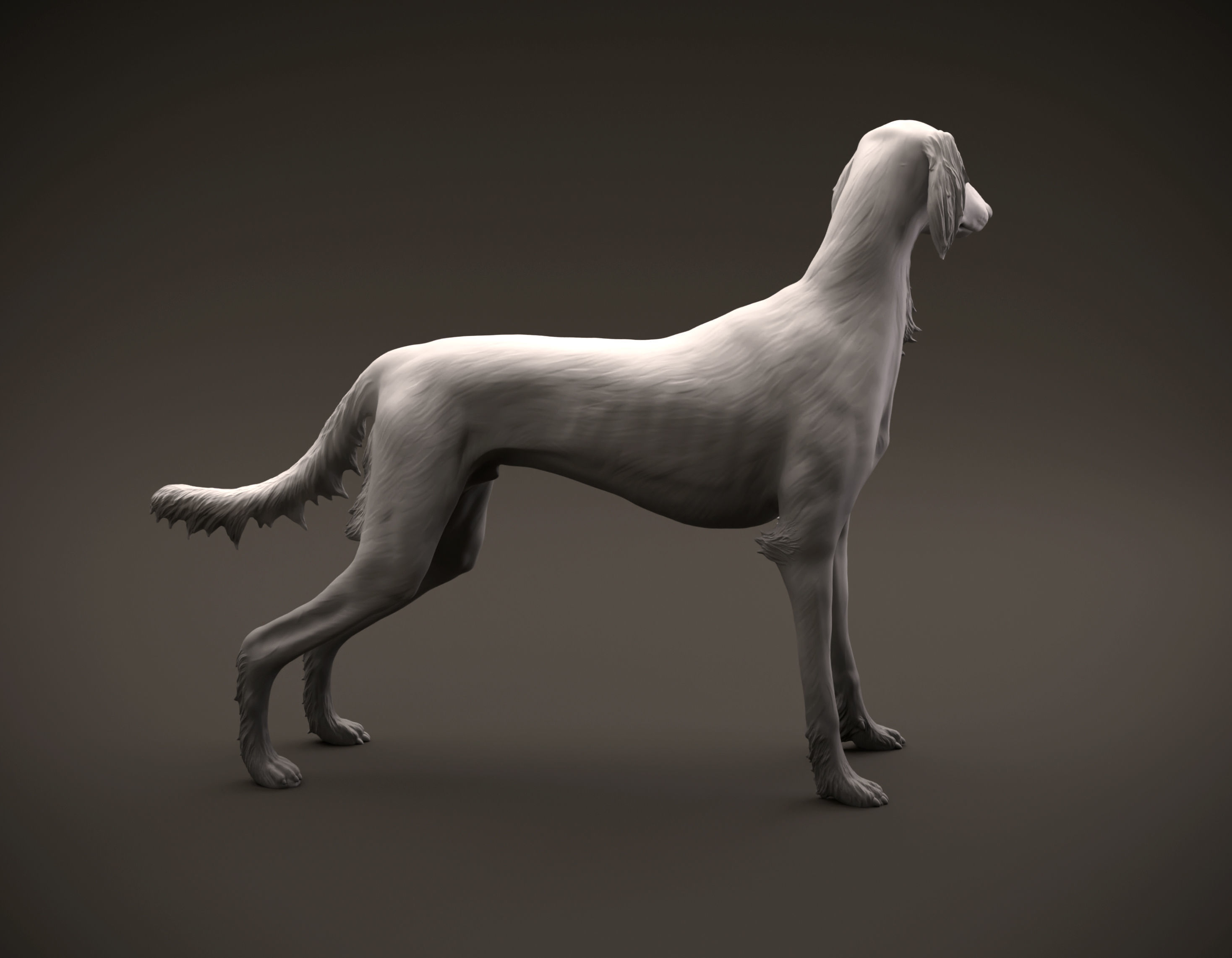 Saluki dog intended for 3D printing 3D print model_4
