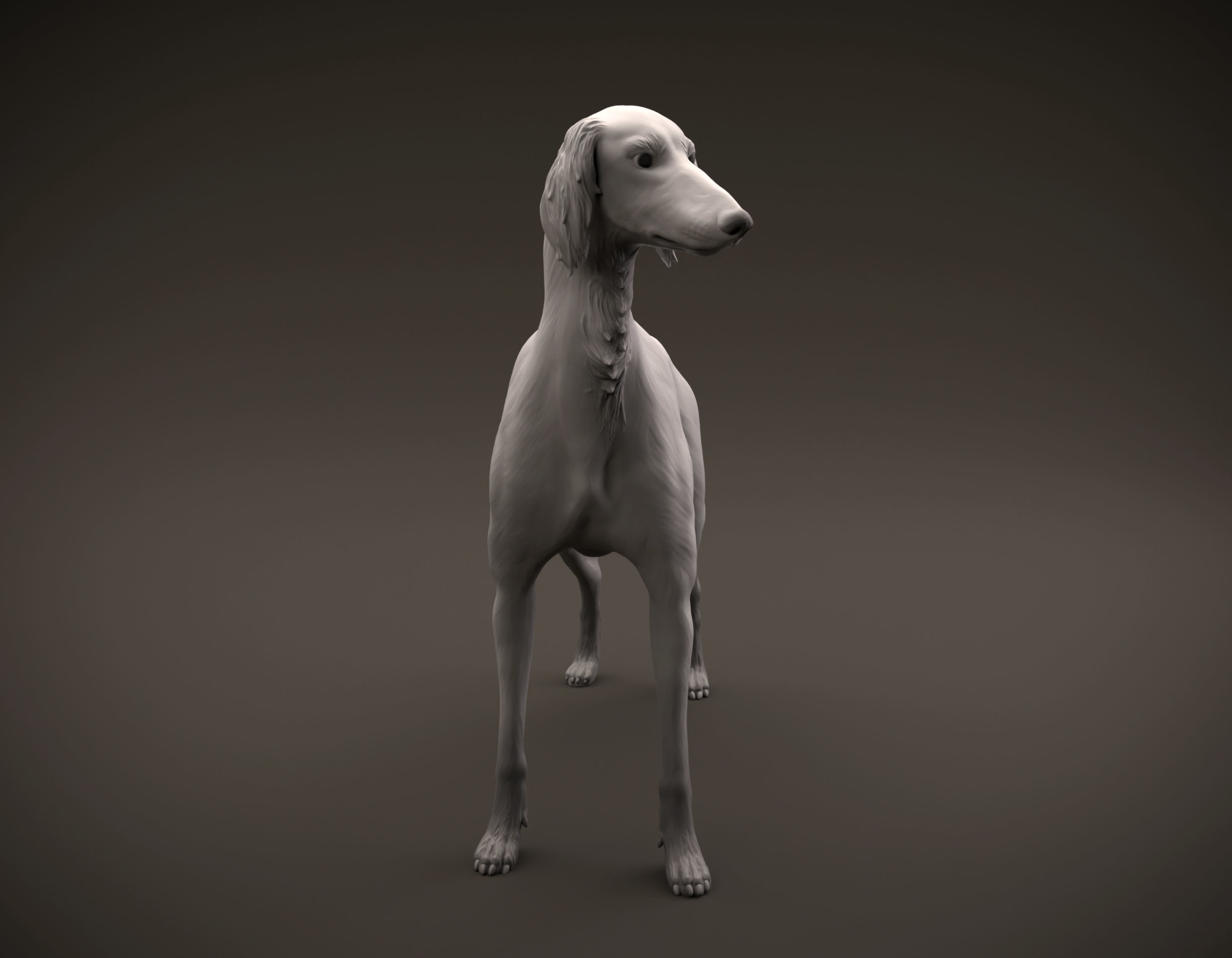 Saluki dog intended for 3D printing 3D print model_2