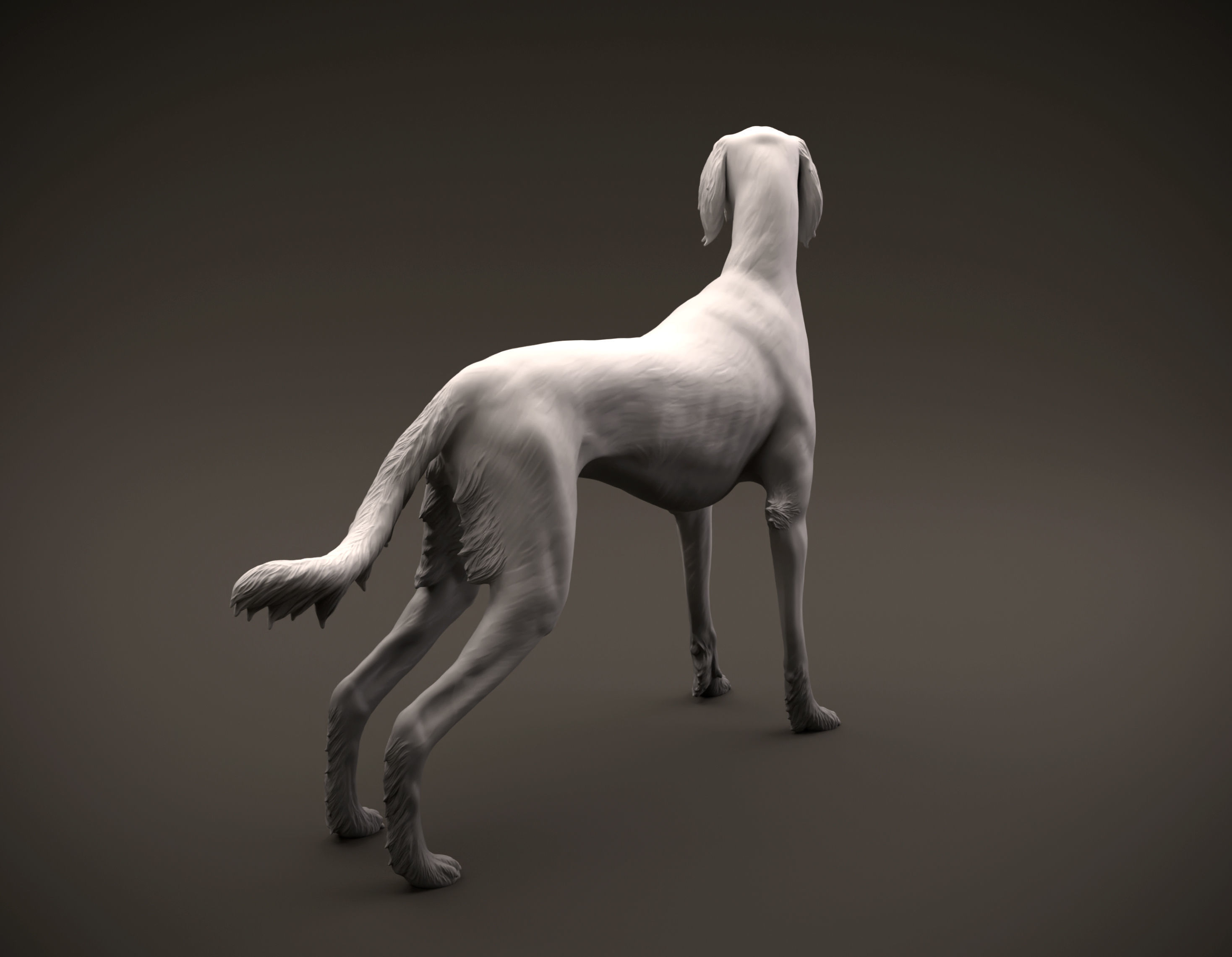 Saluki dog intended for 3D printing 3D print model_5