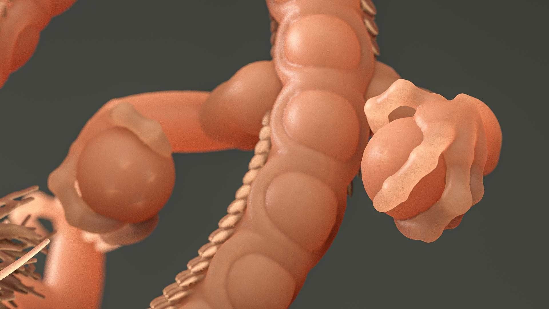 Shenron fron Dragon Ball - 3D print Model 3D print model_12