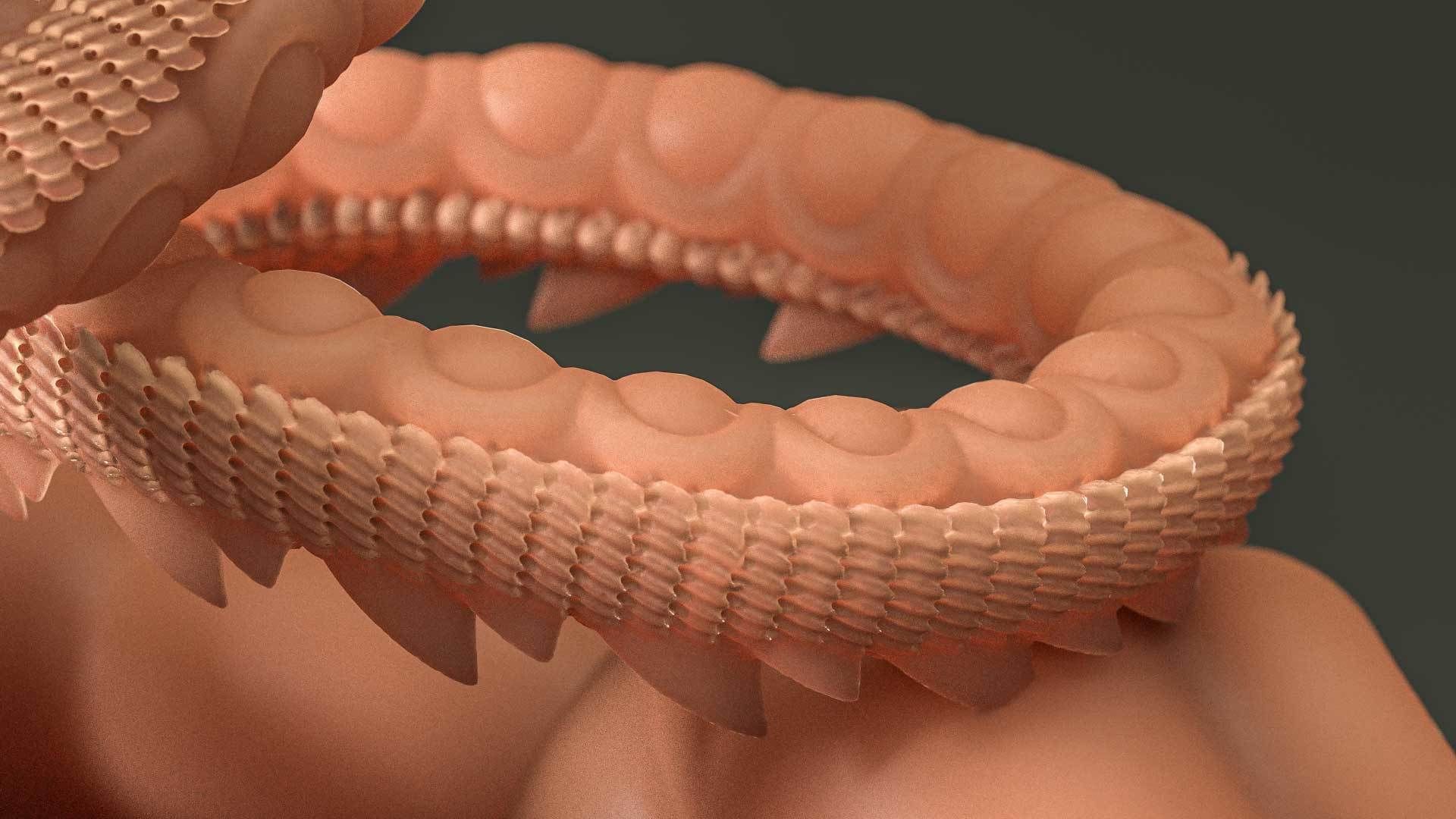 Shenron fron Dragon Ball - 3D print Model 3D print model_13