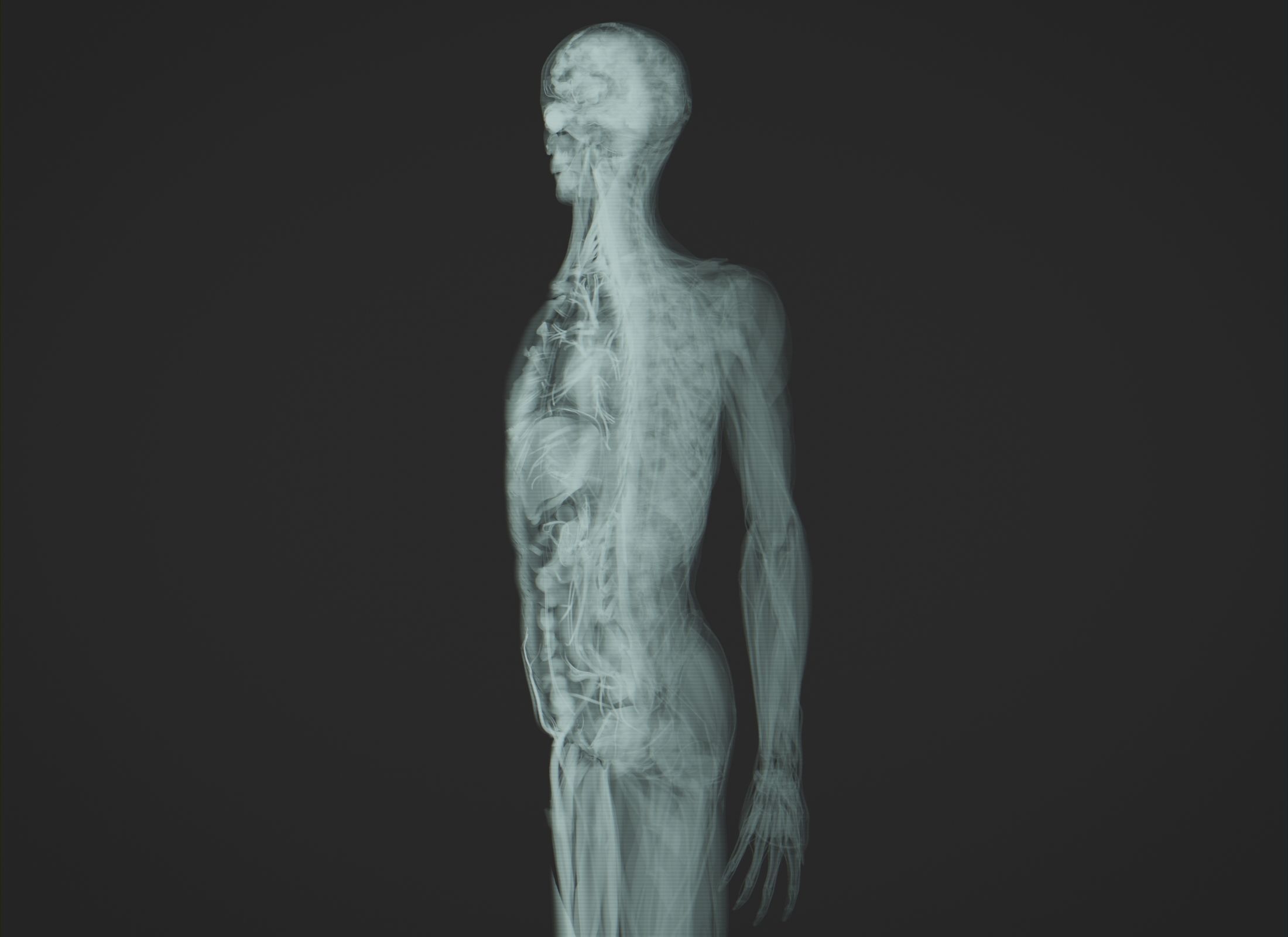 Human Anatomy Xray Animated Low-poly 3D model_5