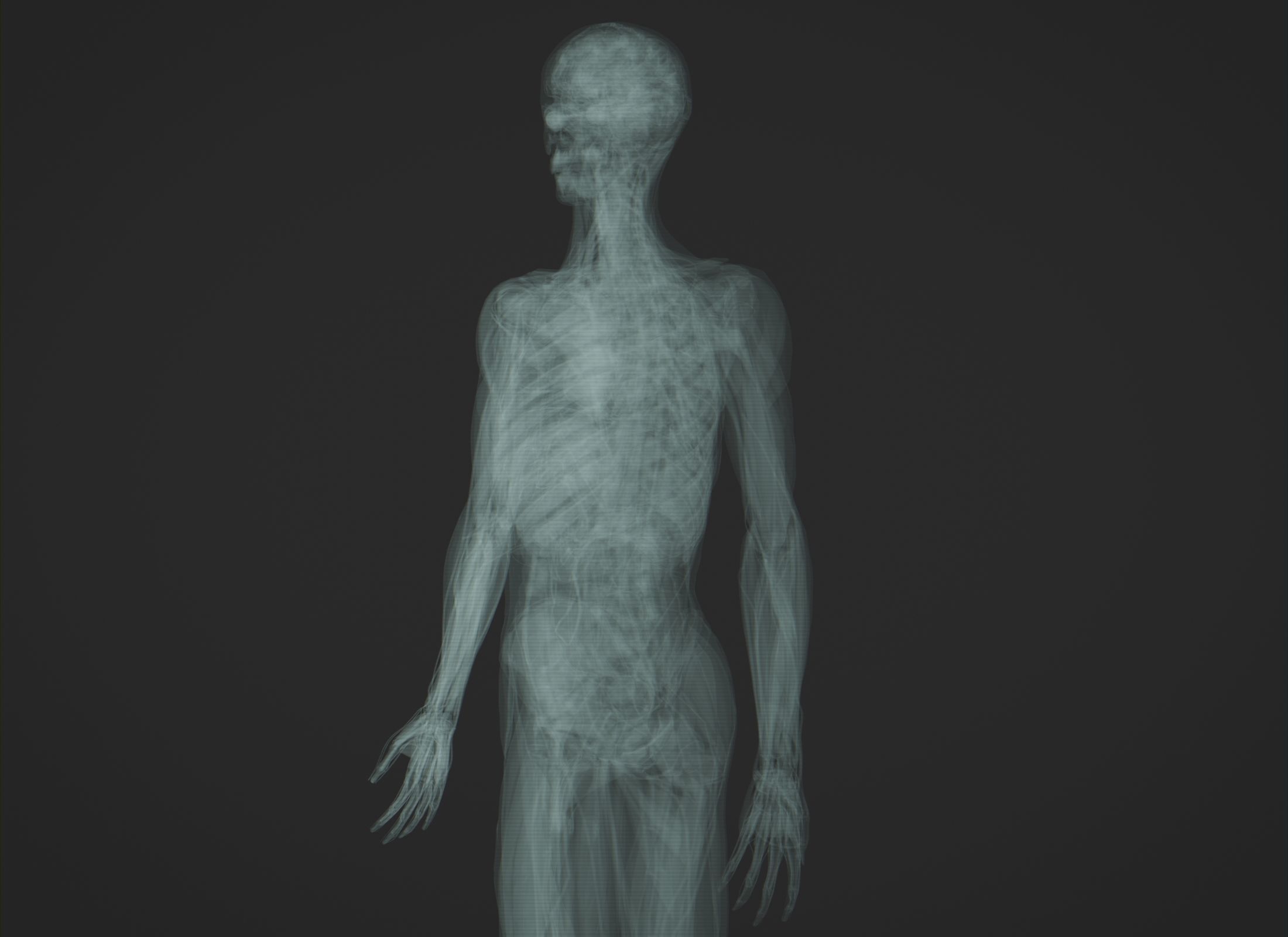 Human Anatomy Xray Animated Low-poly 3D model_10