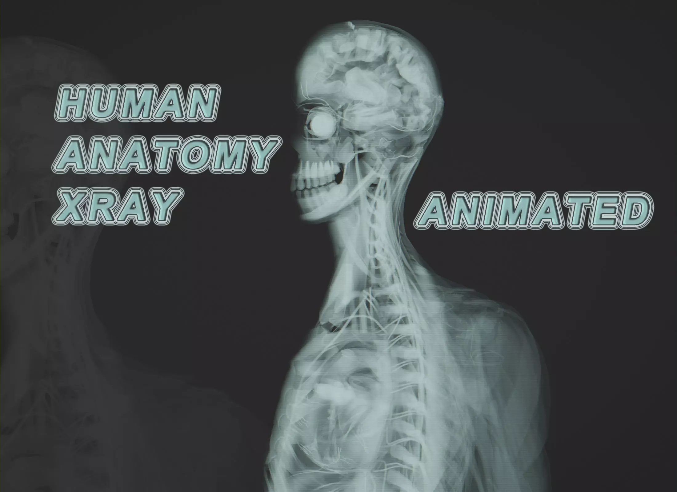 Human Anatomy Xray Animated Low-poly 3D model_0