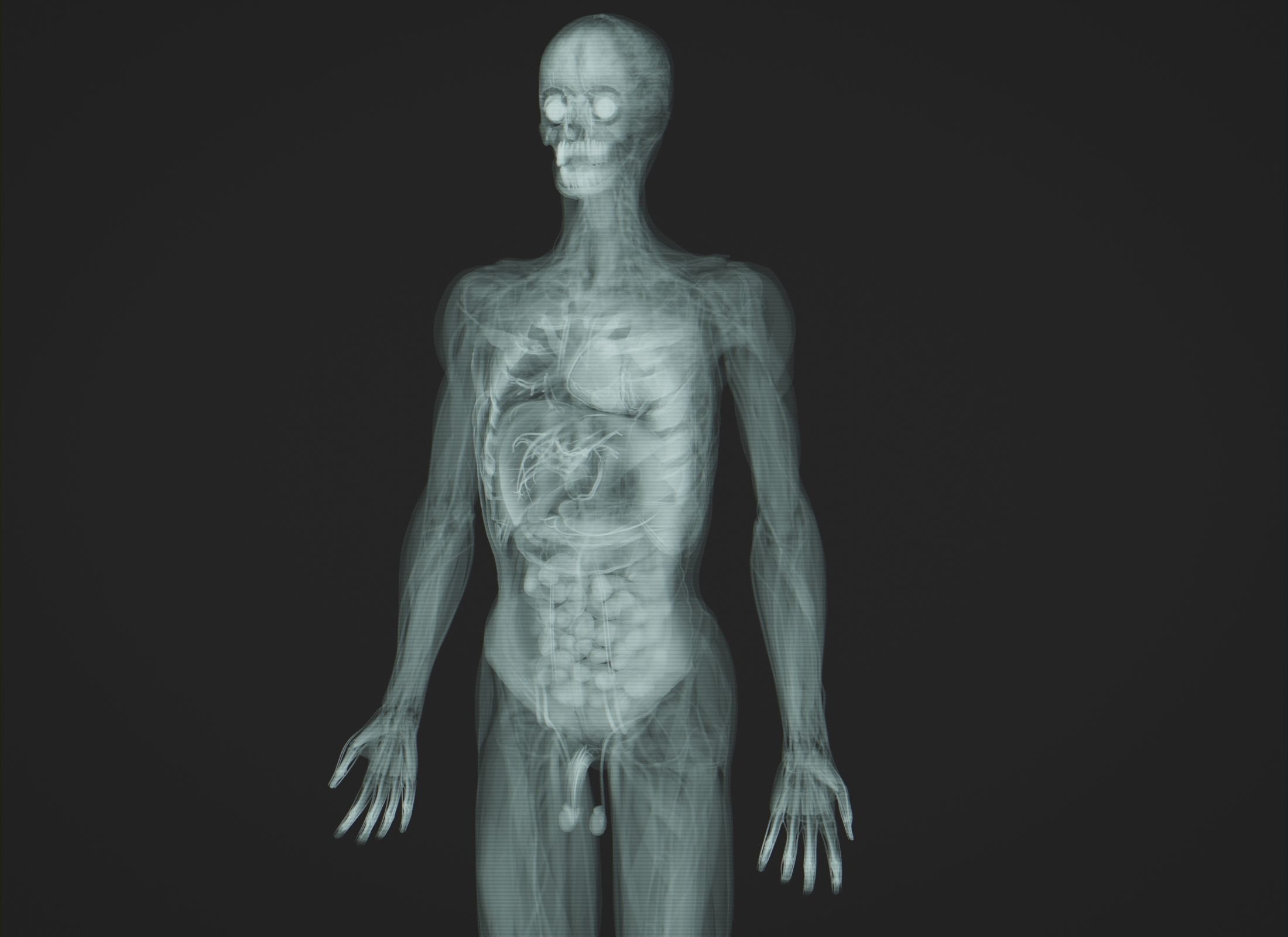 Human Anatomy Xray Animated Low-poly 3D model_4