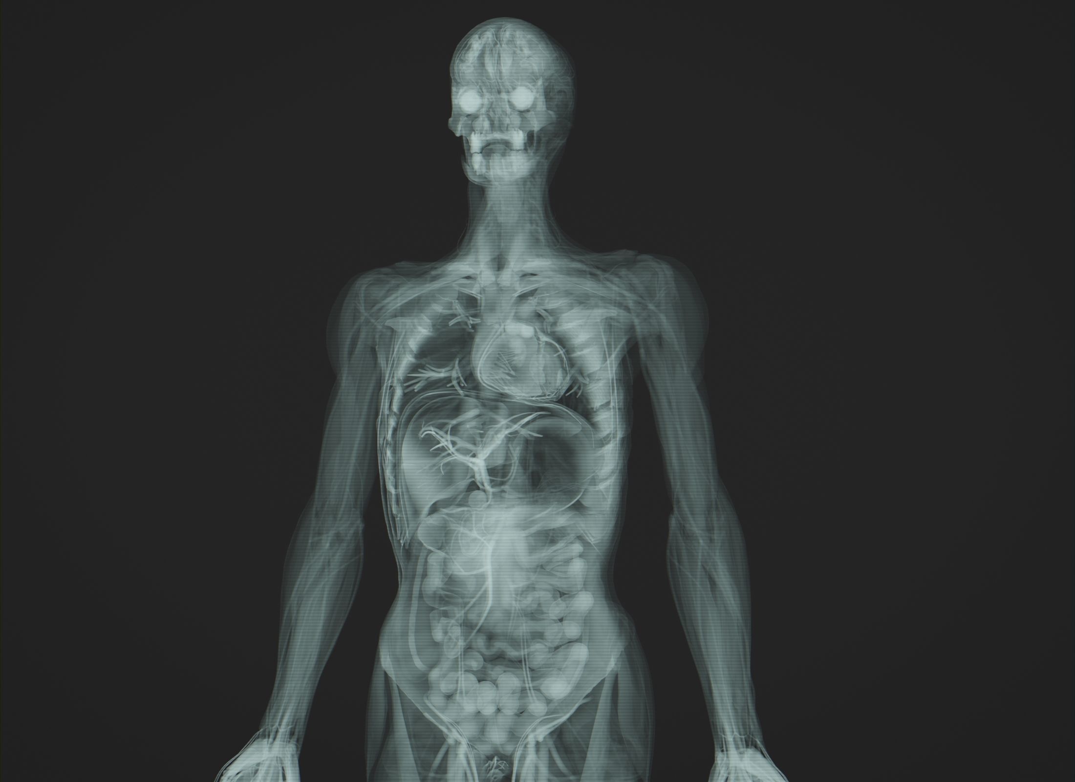 Human Anatomy Xray Animated Low-poly 3D model_1