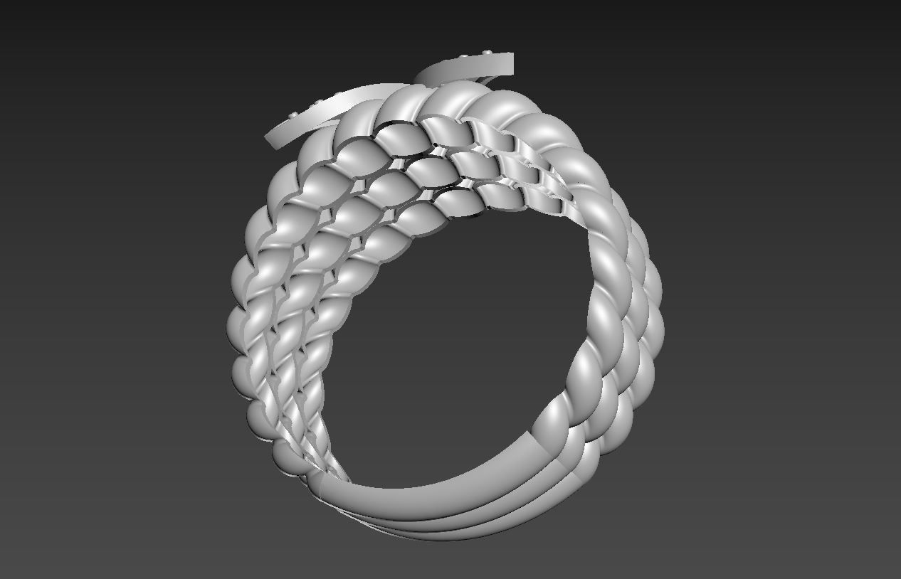 RING R 17 3D print model_7
