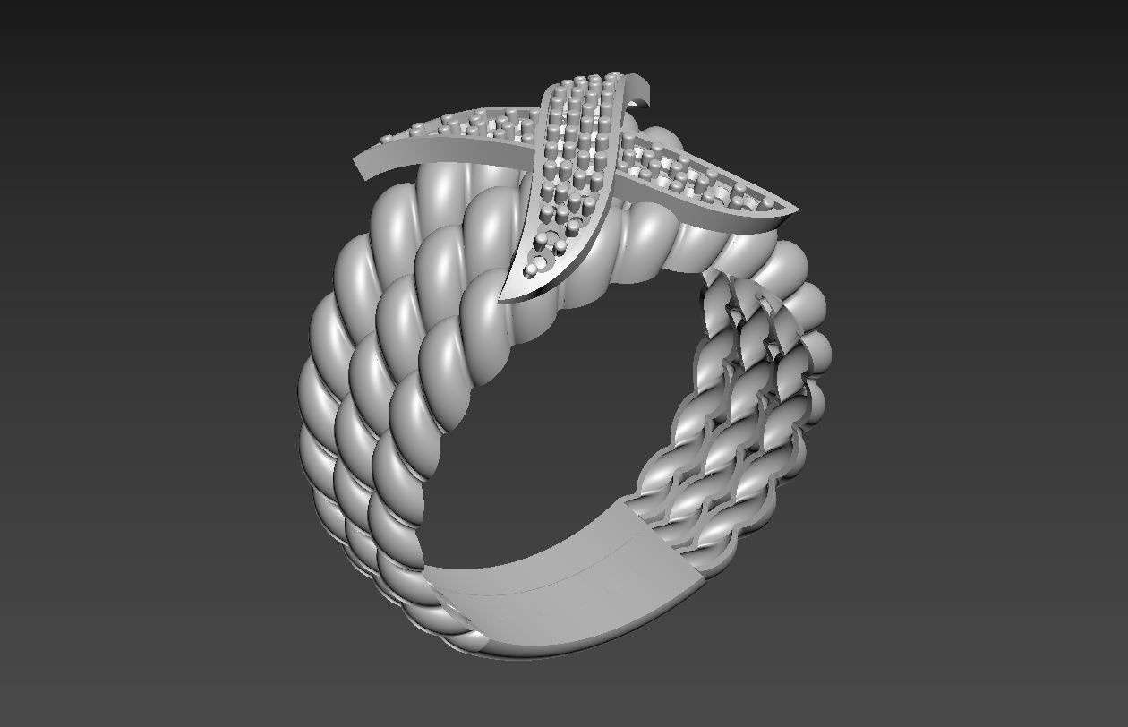 RING R 17 3D print model_4