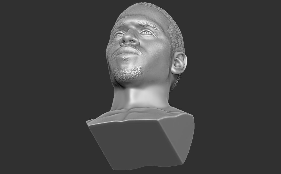 Chris Brown bust for 3D printing 3D print model_22