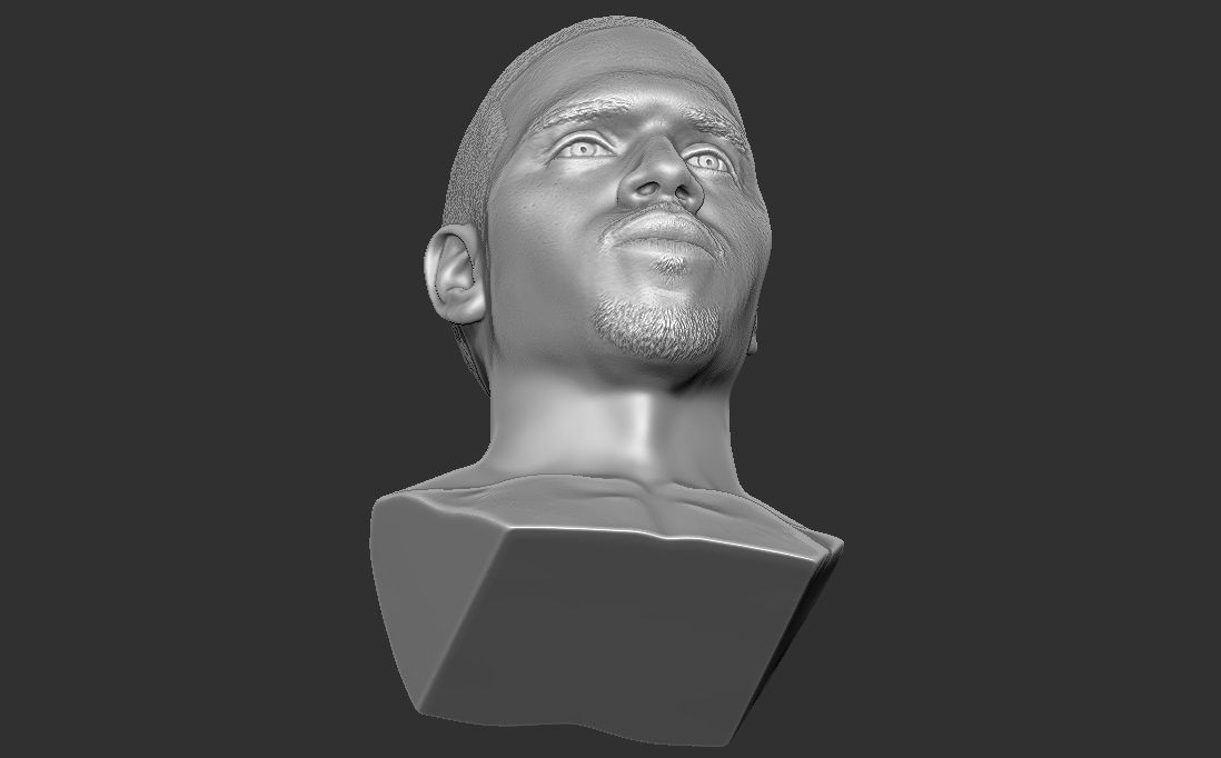 Chris Brown bust for 3D printing 3D print model_21