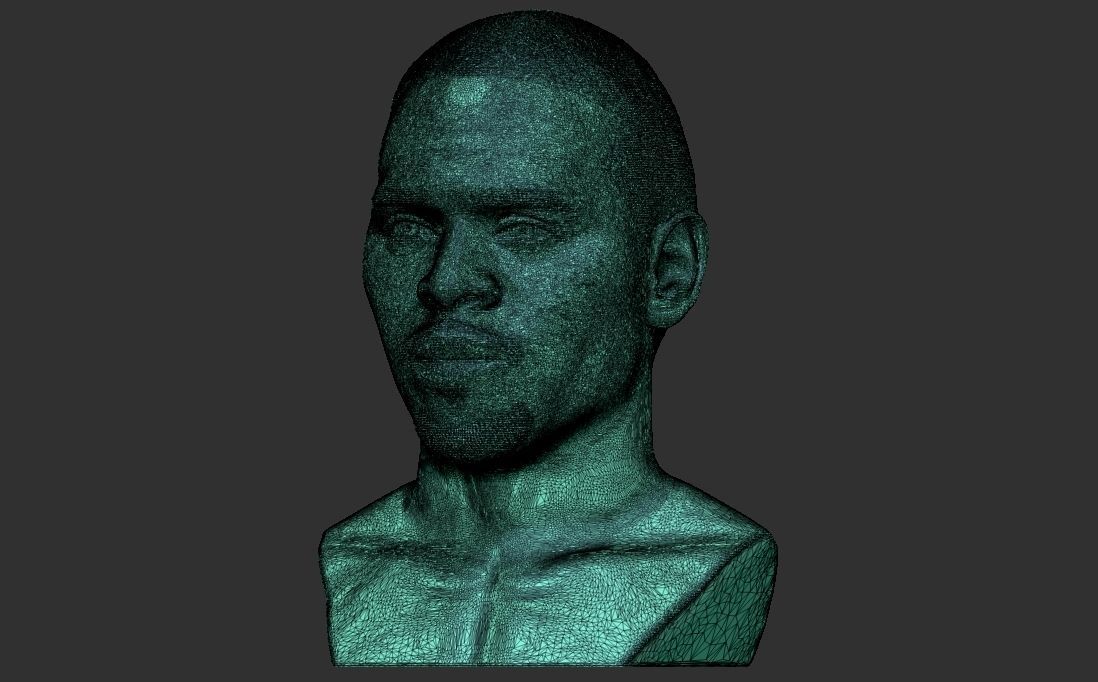 Chris Brown bust for 3D printing 3D print model_30