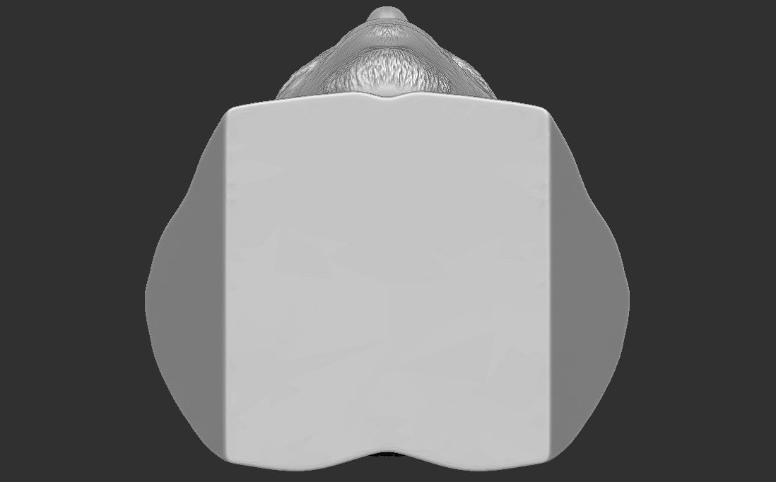 Chris Brown bust for 3D printing 3D print model_23