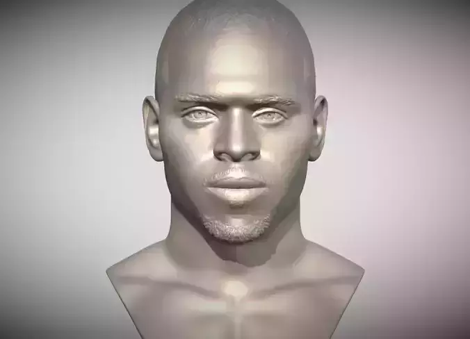 Chris Brown bust for 3D printing 3D print model