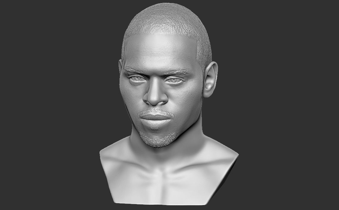 Chris Brown bust for 3D printing 3D print model_19