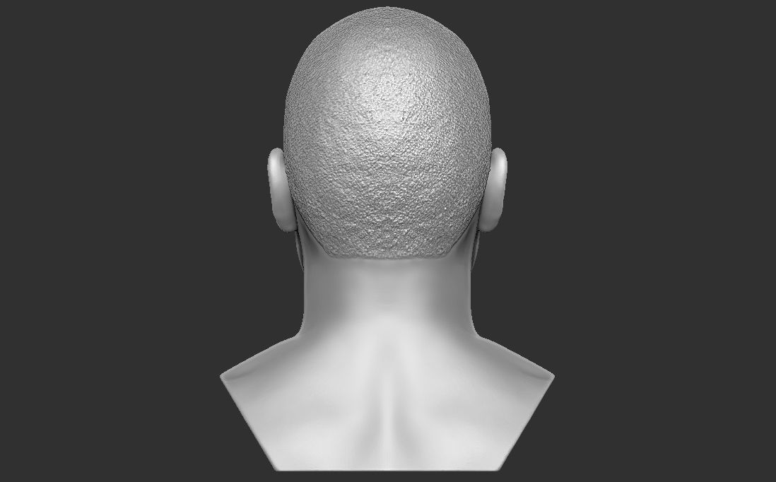 Chris Brown bust for 3D printing 3D print model_12