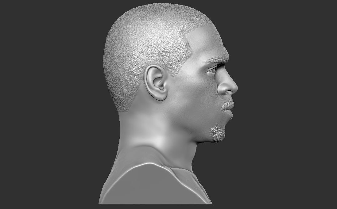 Chris Brown bust for 3D printing 3D print model_14