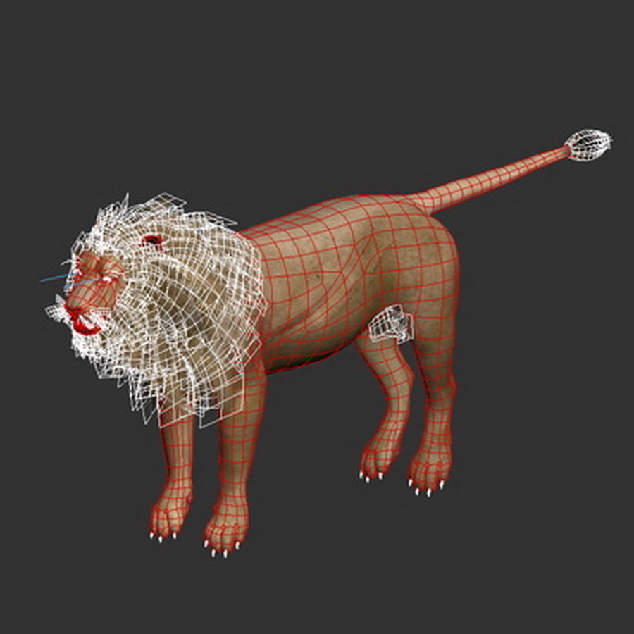 Animated Lion 3D model_17
