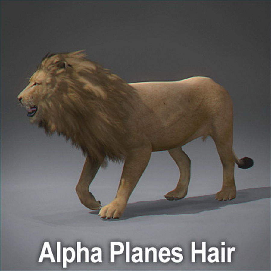 Animated Lion 3D model_10