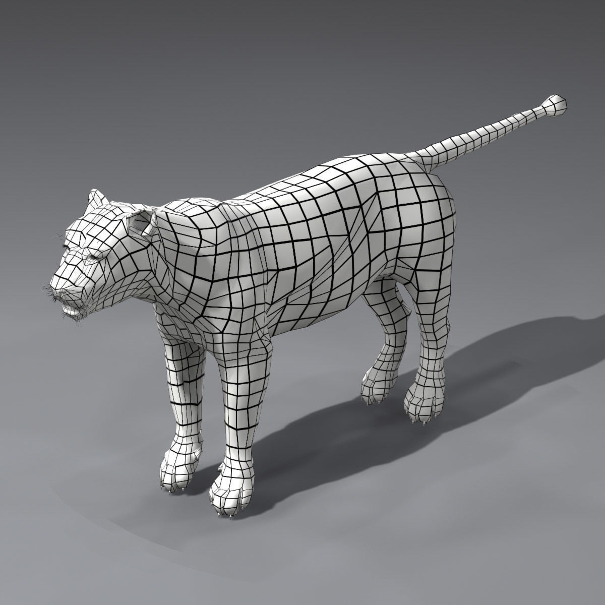 Animated Lion 3D model_15