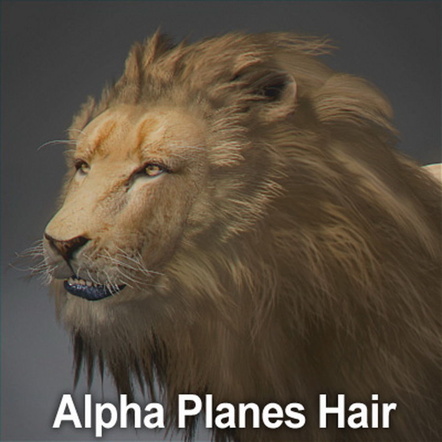 Animated Lion 3D model_11