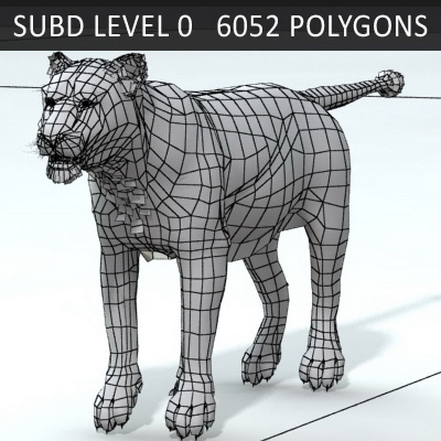 Animated Lion 3D model_22